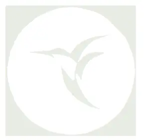 bEbird T15 Smart Visual Ear Clean Rod