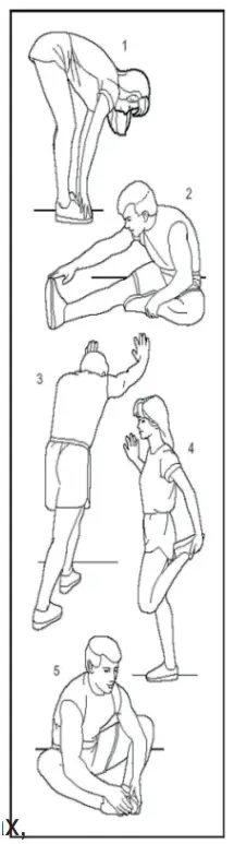 MUSCLESQUAD MS P100 Folding Treadmill - fig