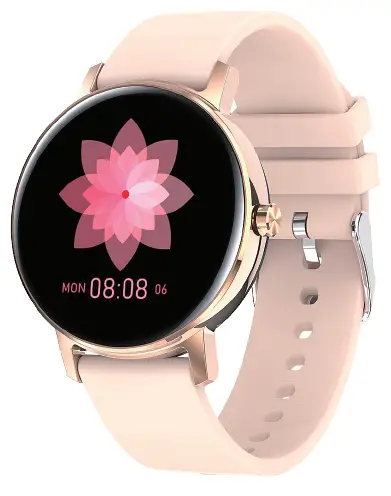 Shenzhen Chiteng Technology WB05 Smart Sports Bracelet product