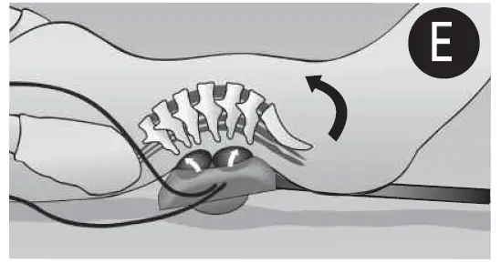 PENTAVAC 2500 Posture Pump 20