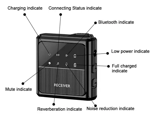 Dual Wireless Lavalier Microphone (3)