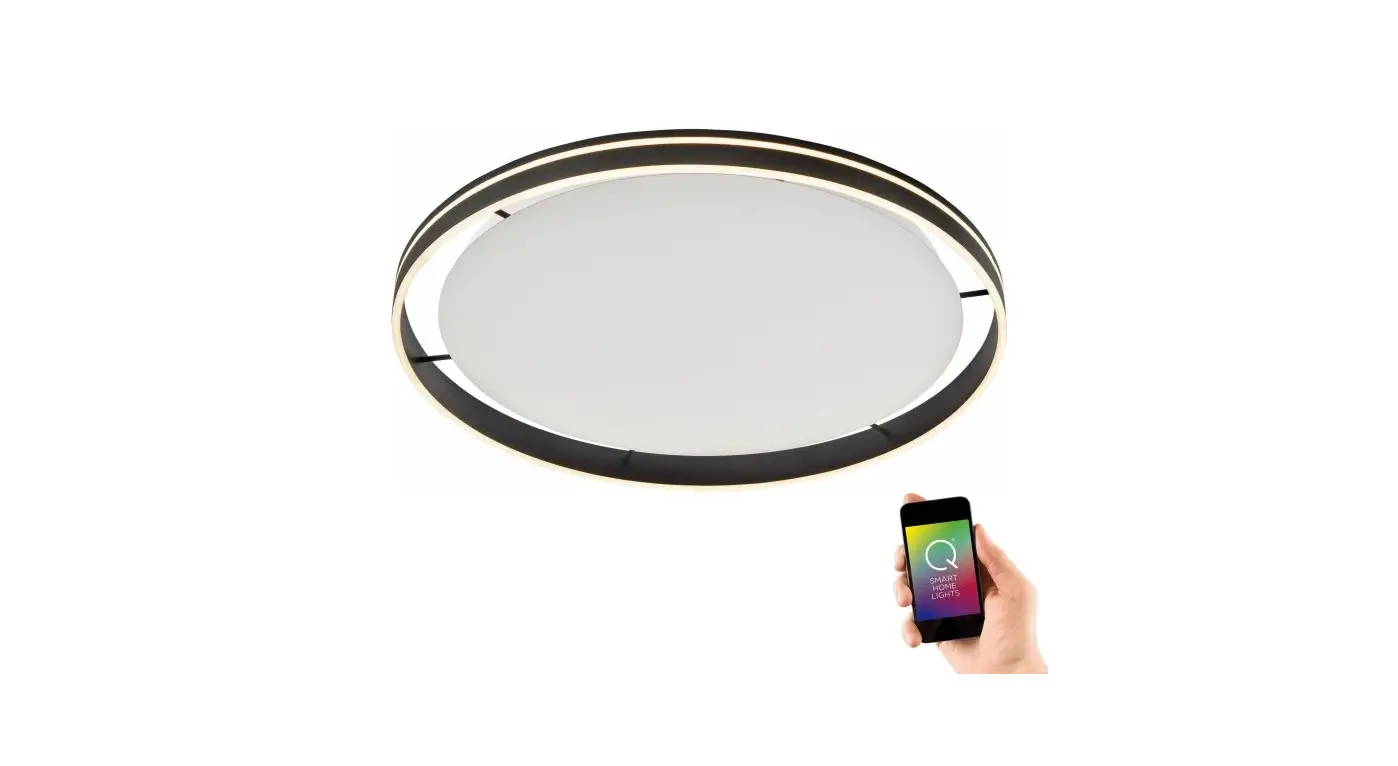 Paul Neuhaus 8418-13 Q-vito Ceiling Light Led Instruction Manual