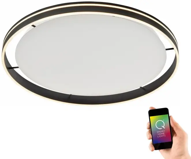 Paul Neuhaus 8418-13 Q-VITO Ceiling Light LED