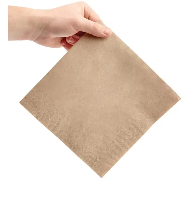 Fiesta-Recyclabl- FE242-Recycled-Din