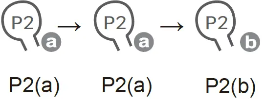 Keystone Sales Group DM35F-S Automatic Curtain Control 18