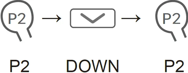 Keystone Sales Group DM35F-S Automatic Curtain Control 21