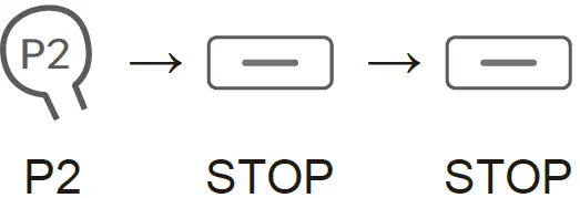 Keystone Sales Group DM35F-S Automatic Curtain Control 23