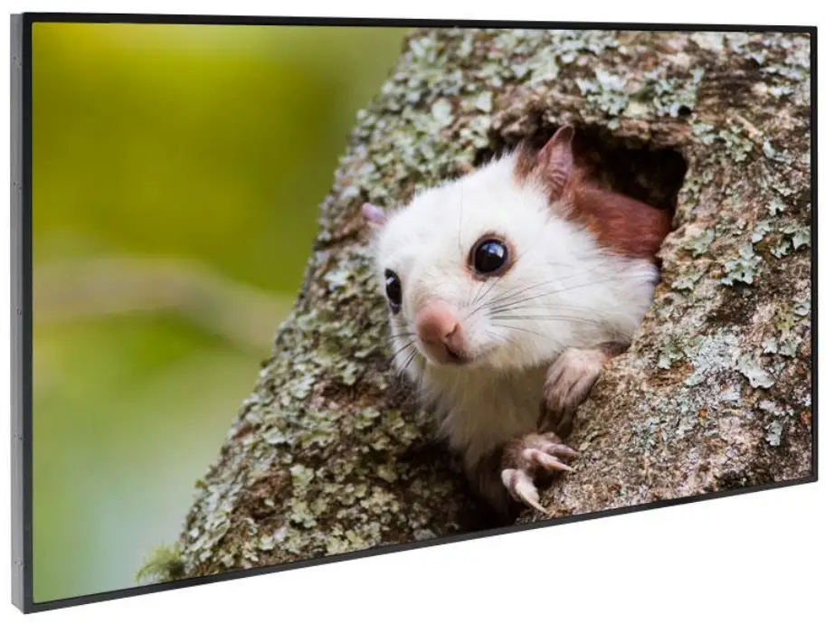 DynaScan DS491LT4 49 Inch Fanless High Brightness Digital