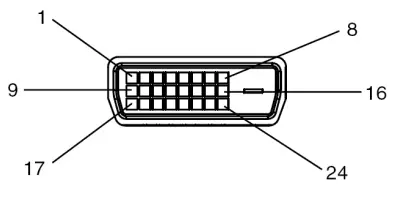 Digital RGB Output (DVI-D): DVI