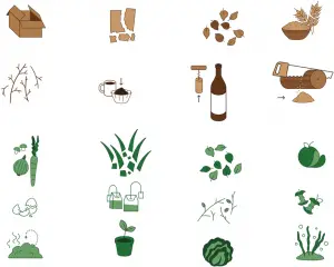Carbon Nitrogen chart