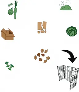 Carbon Nitrogen chart A