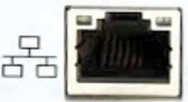 AMETEK VIRALERT 3-Network socket