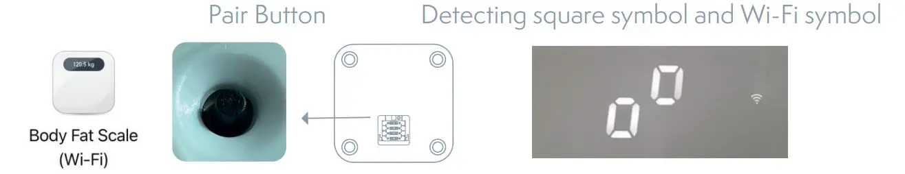 TESLA-Smart-Composition-Scale-Wi-Fi-2