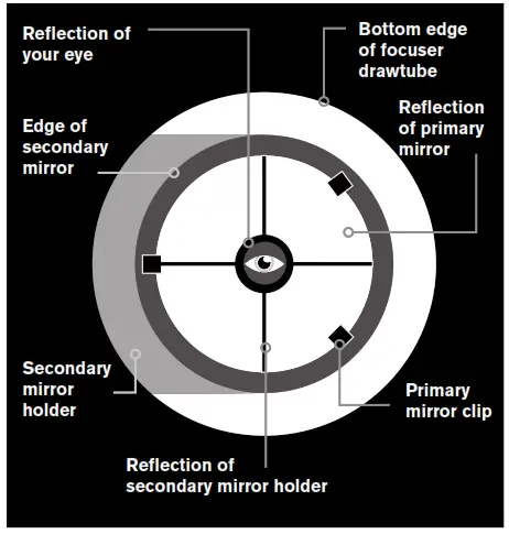 CELESTRON 22470 Starsense Explorer 8 Inch Dobsonian Telescope-19