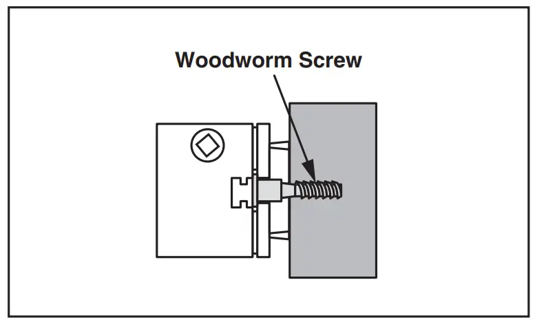Woodworm Screw
