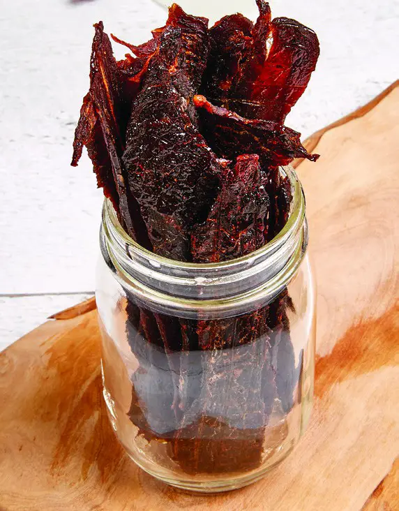 tristar-powerxl-k50701-dehyrdation-recipes- BEEF JERKY