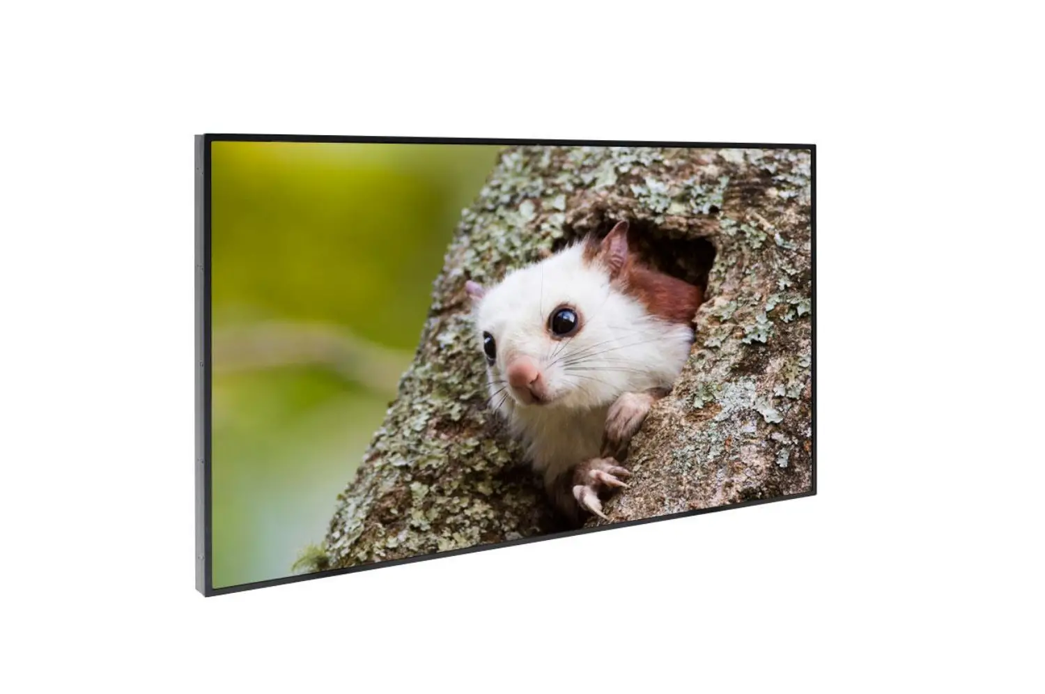 Dynascan Ds491lt6 49 Inch 5500 Nits Ultra High Brightness User Manual Dynascan Ds491lt6 49 Inch 5500 Nits Ultra High Brightness User Manual