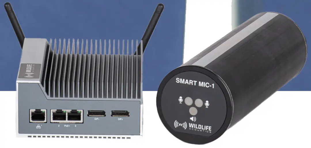 WILDLIFE-ACOUSTICS-Song-Meter-with-Analysis-and-Remote-Transfer-Smart-System-fig-1