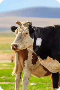 MOKO SMART M3 Bluetooth Beacon - figure 5