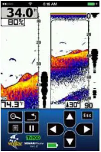 Shenzhen Phiradar Technology SP200A Fish Finder ---bottom