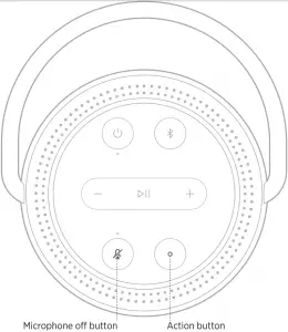 VOICE ASSISTANT CONTROLS