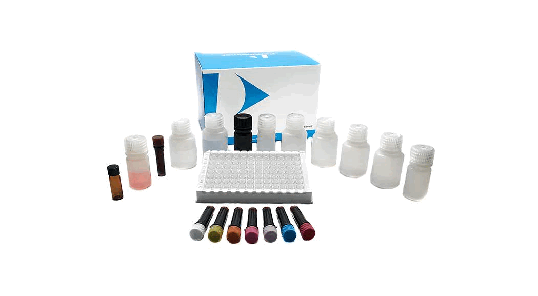 Elisarsr 21-oh Ab 21-hydroxylase (21-oh) Autoantibody Elisa Kit Instructions