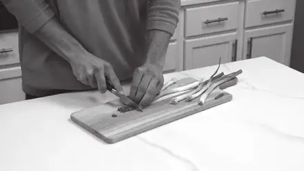 GIANI 35 Sq Feet Marble Countertop Paint Kit - CARE & MAINTENANCE 2