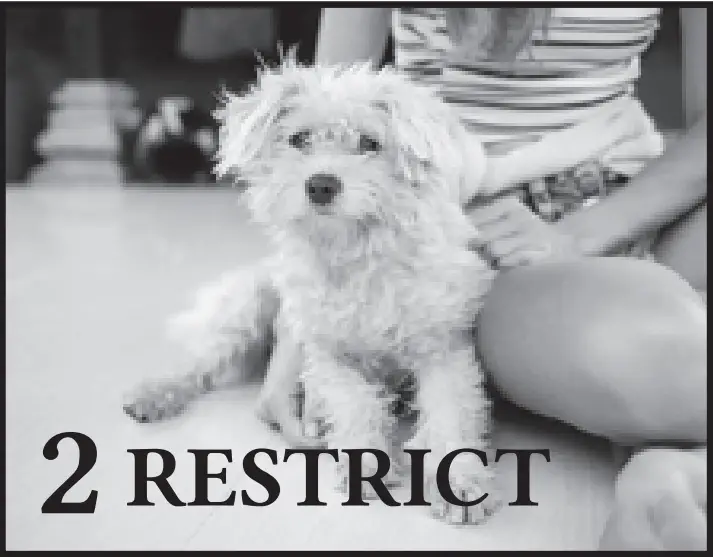 GIANI 35 Sq. Feet Marble Countertop Paint Kit - image 25