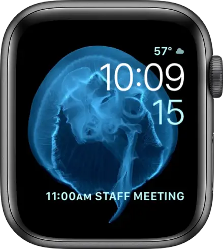The Motion watch face showing a jellyfish. You can choose which object is in motion and add several complications.