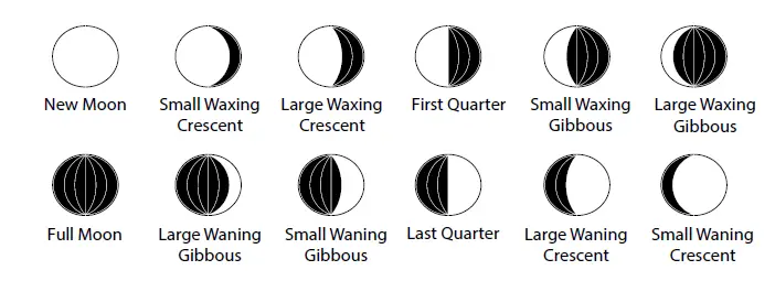 LA-CROSSE-TECHNOLOGY-L78359-Series-Atomic-Digital-Wall-Clock-fig-2