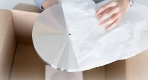 Pro-Ject The Classic Evo -10