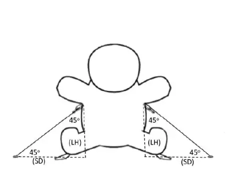 FHFFIRETRK071L-Fraser-Hill-Farm-Christmas-Tree-FIG-4