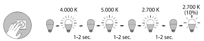 Paul Neuhaus 14445-55 LEONARD Ceiling Light 04
