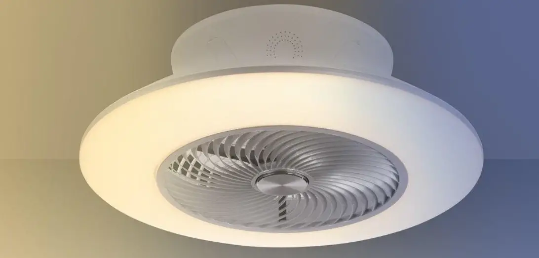 Paul Neuhaus 14445-55 Leonard Ceiling Light Instruction Manual