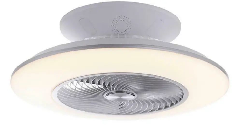 Paul Neuhaus 14445-55 LEONARD Ceiling Light product