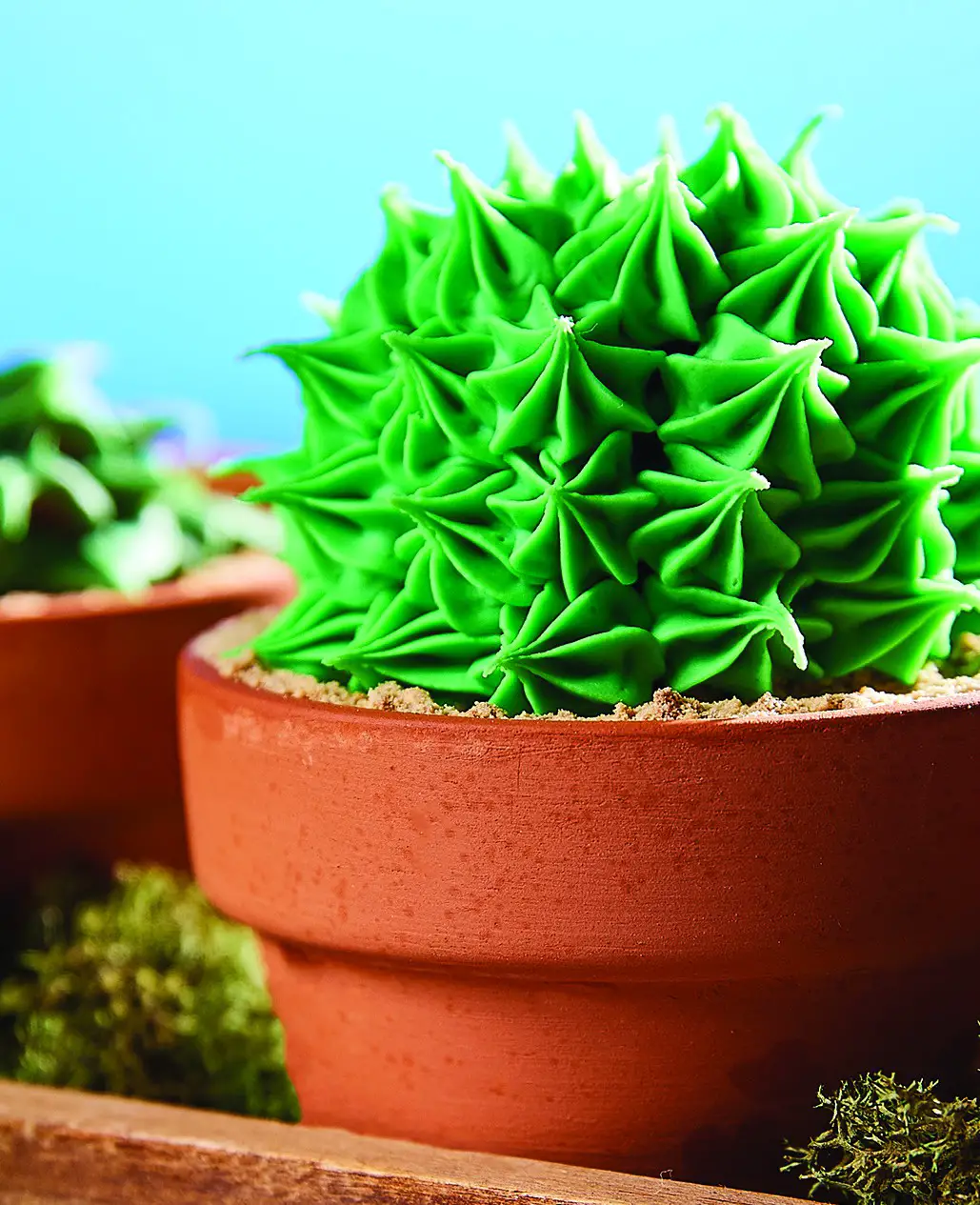 tristar-powerxl-k50701-fried-food-recipes- Terracotta Succulent Cupcakes