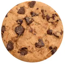 Gourmia Digital French Door Air Fryer Oven - CONVECTION