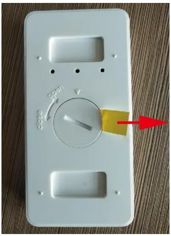Remote connect process: