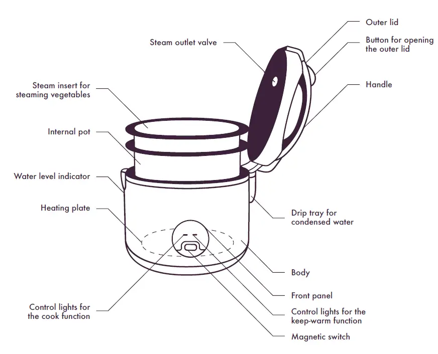 REISHUNGER-Electric-Rice-Cooker-and-Steamer-FIG-2