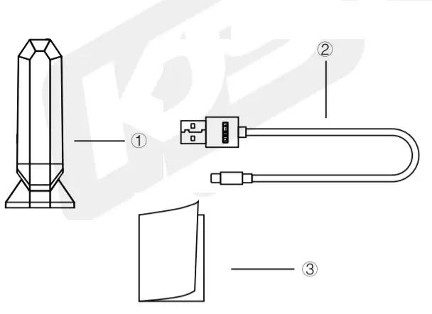 inFace MS6000 RF Beauty Instruments -FIGURE 1