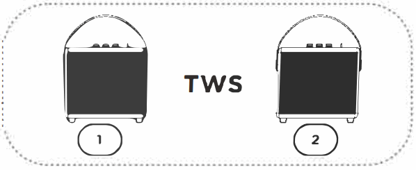 aiwa RS-X 40 Diviner Play - TWS Function