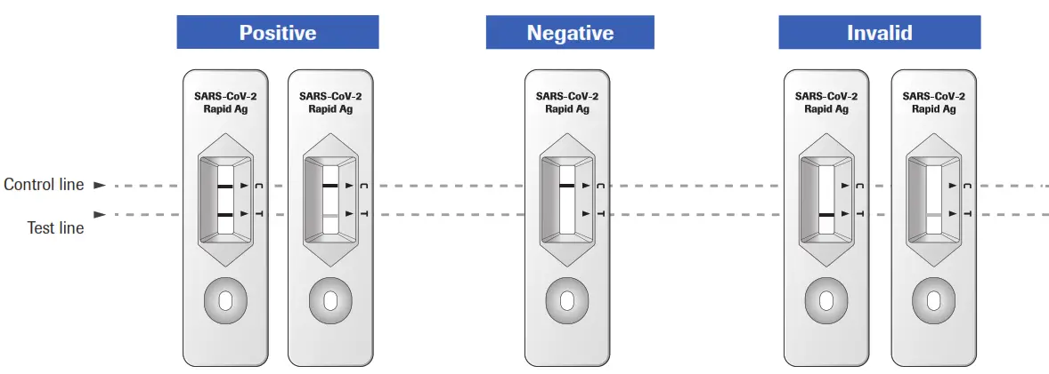 Roche SARS CoV 2 Rapid Antigen Test Nasal - Interpreting results