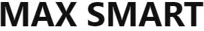 MAX SMART LOGO