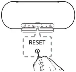 RESET button