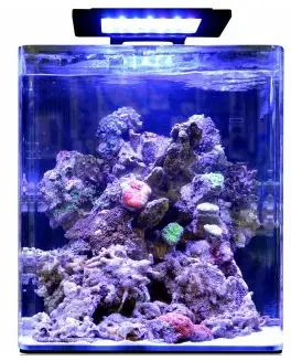 Blue-Marine-Reef-60-Cabin-PRODUCT