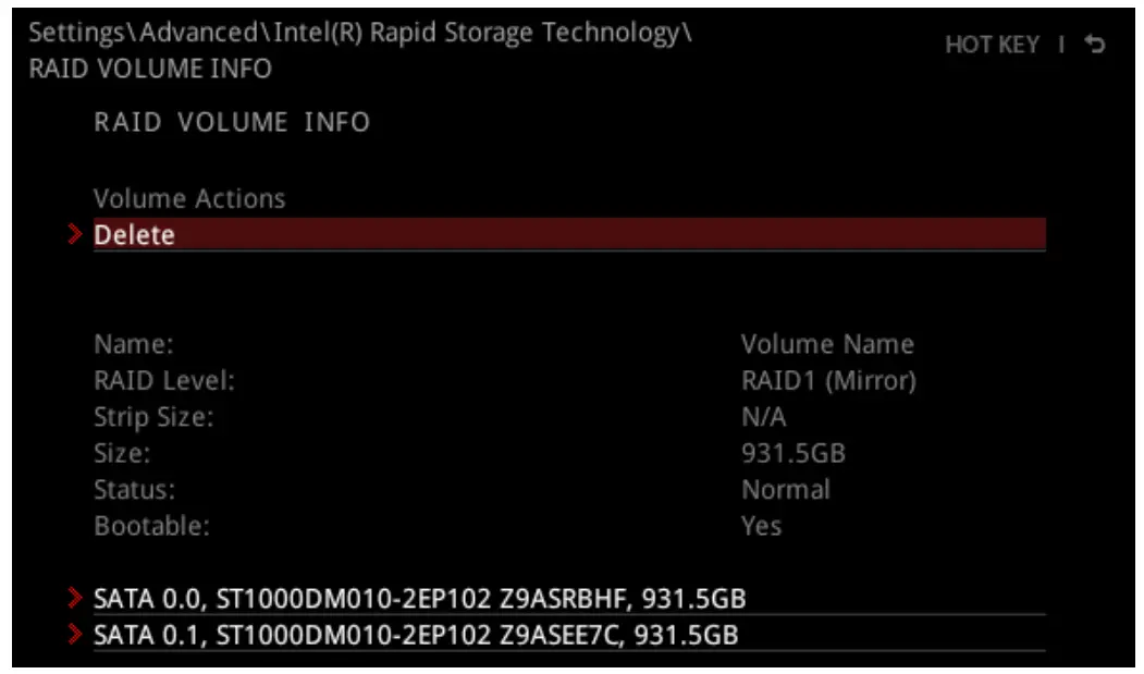 Removing a RAID Volume