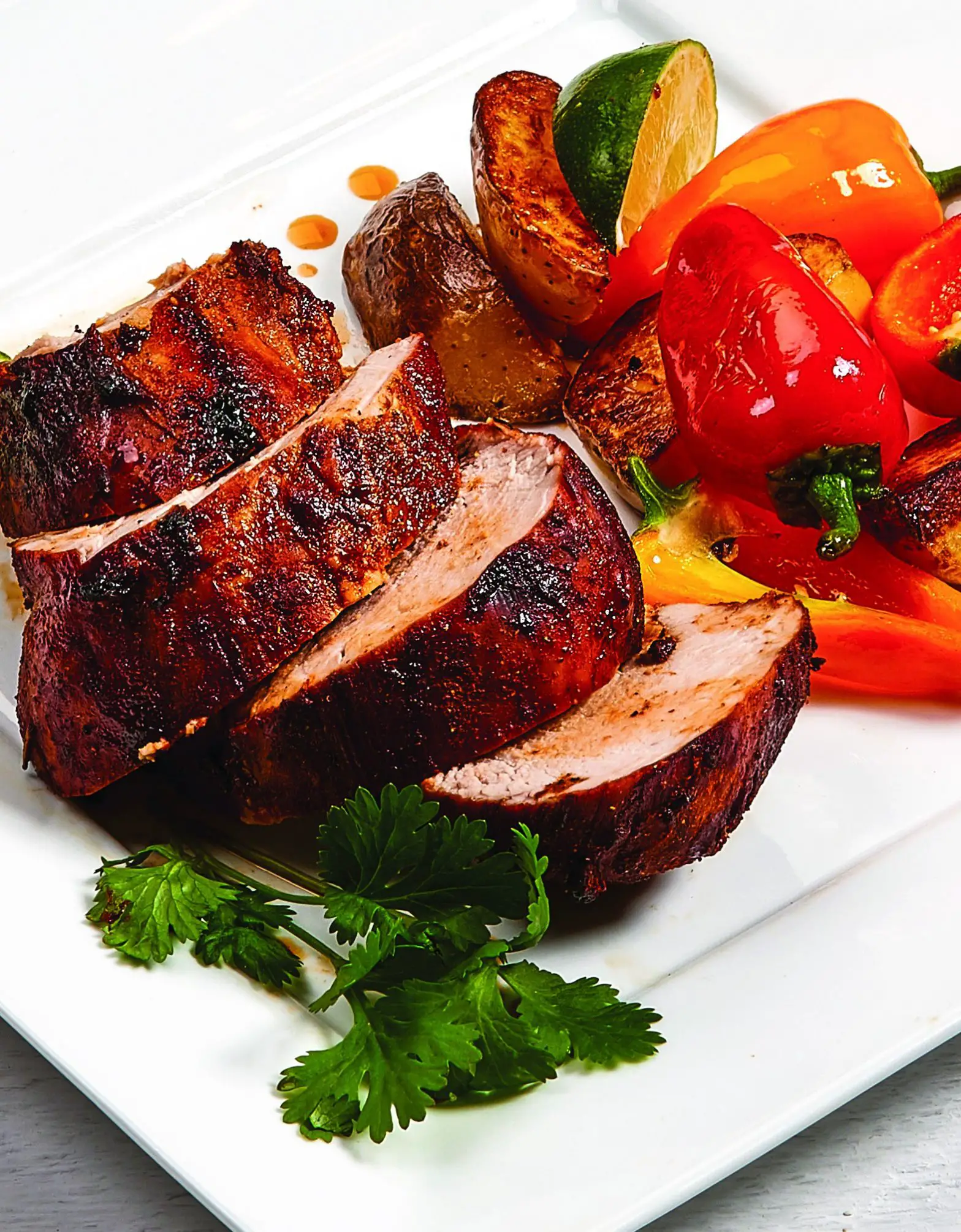 tristar-powerxl-k50701-rottiserie-recipes- 3