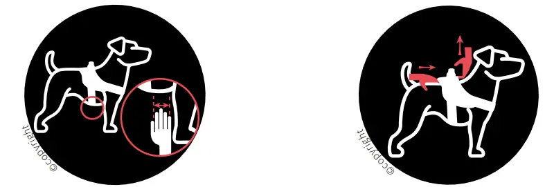 Tightest Instruction