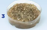 Creativity-for-Kids-6339-Build-and-Grow-Tree-House-FIG-6