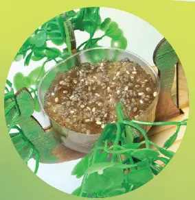 Creativity-for-Kids-6339-Build-and-Grow-Tree-House-FIG-7